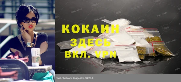 сатива Богданович