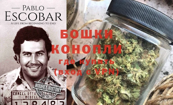 сатива Богданович