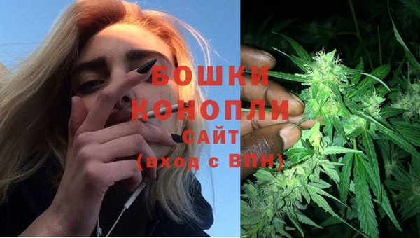 сатива Богданович