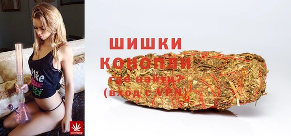 эйфоретик Горняк