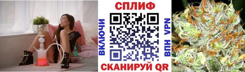 купить наркотик  Великий Устюг  omg как зайти  МАРИХУАНА сатива 